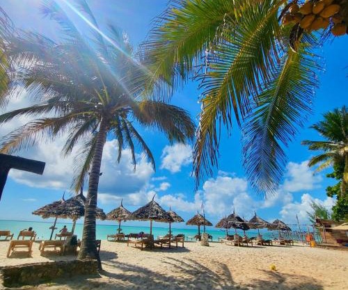 Mambo Ocean Resort