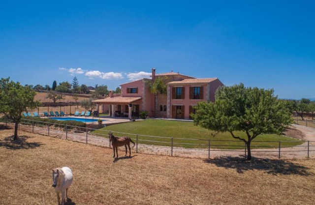 Manacor-2898-65 Mallorca