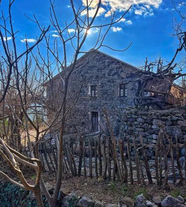 Mark Toma Guesthouse