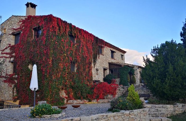 Mas de l'Arlequi