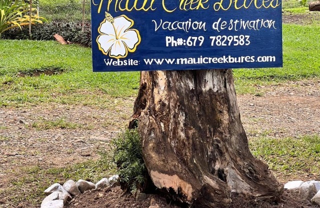 Maui Creek Bures - BURE CAGI!