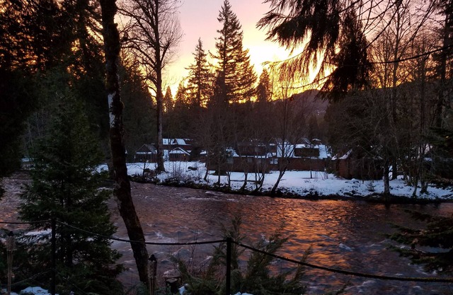 Mckenzie River Cabin #13 at the Log Cabin Inn, screened porch, .5mi Trailhead