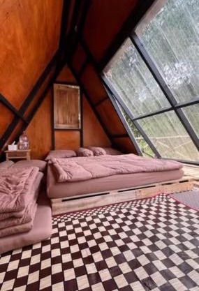 Metaglamp Camping Ground