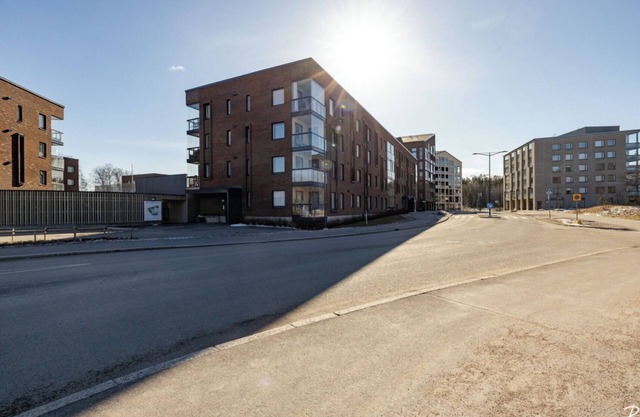 Metsämansikan helmi