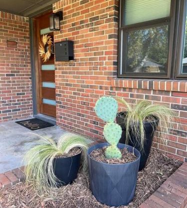 Mid-West Mod - 5br - Central Norman - Near OU!