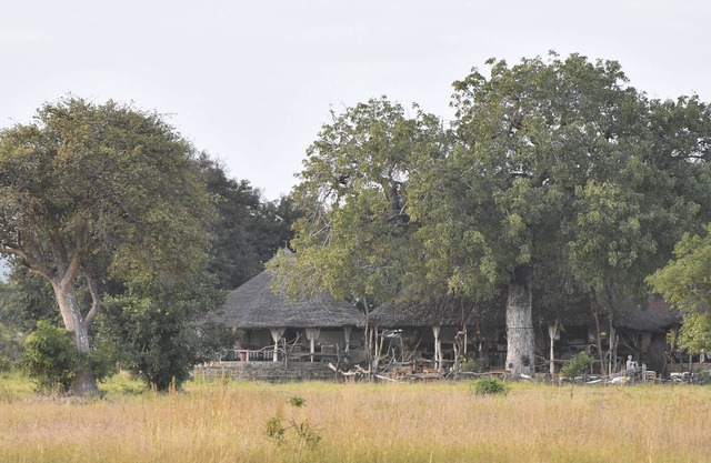 Mikumi Wildlife Camp