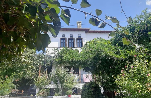 MILIES - PELION VILLA