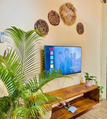 Minzi Homes