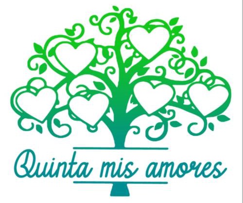 Mis Amores