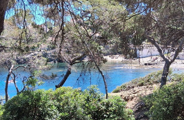 Mobilhome, air-conditioned in 5 🌟 campsite, puget sur argens