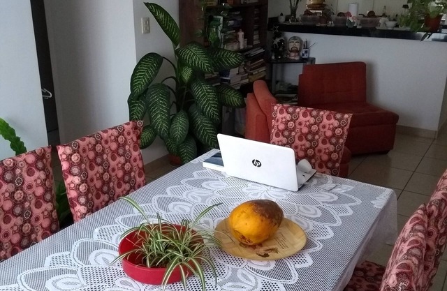 Modern and spacious appartment near the historic centre