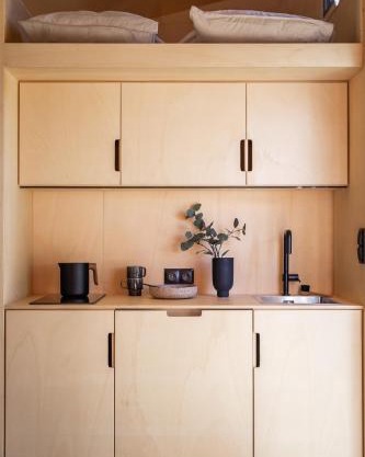 Modern Tiny House