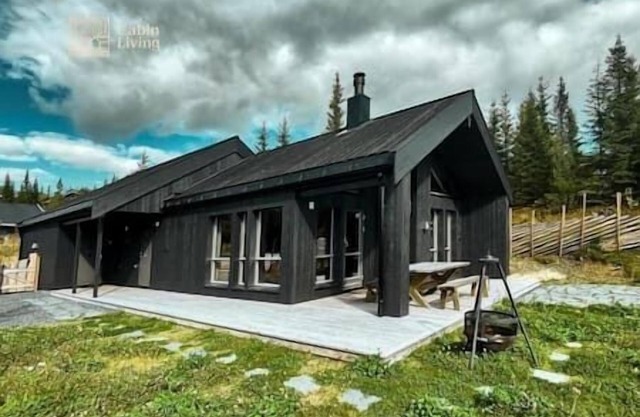Modern unique cabin/fantastic location/Skeikampen