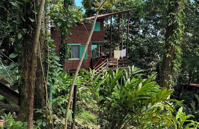 Monkey Cabin with AC