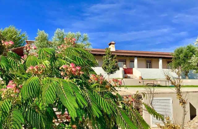 Monte das Oliveiras - Country House