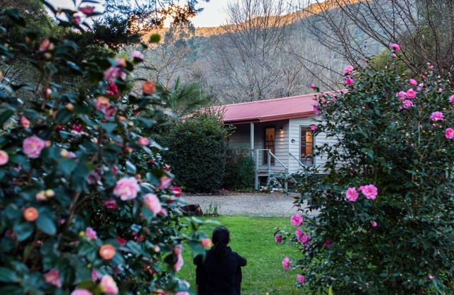 Mystical View Cottage