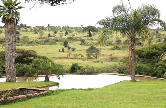Nairobi National Park game viewing area