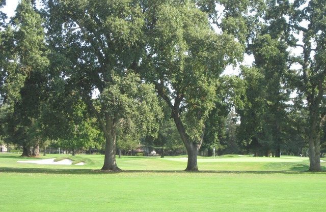 Napa Charm on Silverado Course; Spa, hills, Wineries, great restaurants nearby