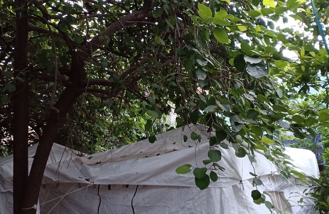 Nature trail camps & homestay