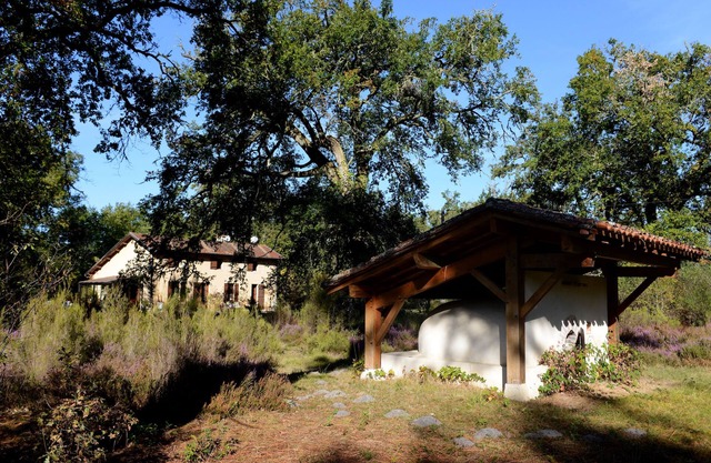 Naturism in the Landes forest