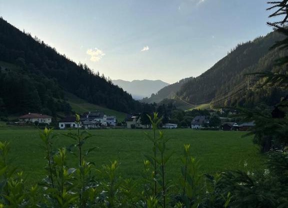 Naturparadies Nähe Grüner See