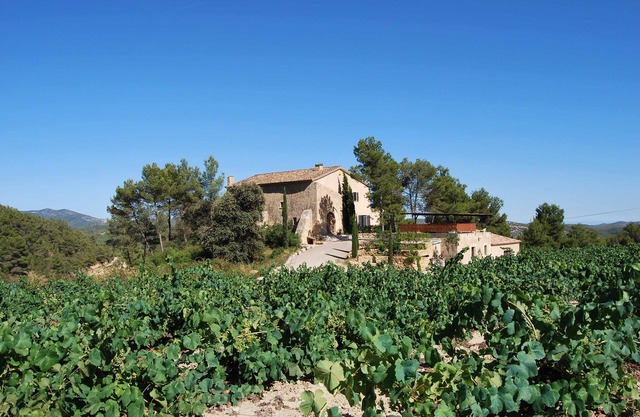 Near Barcelona, comfortable vacation apartment in country house surrounded by vineyards