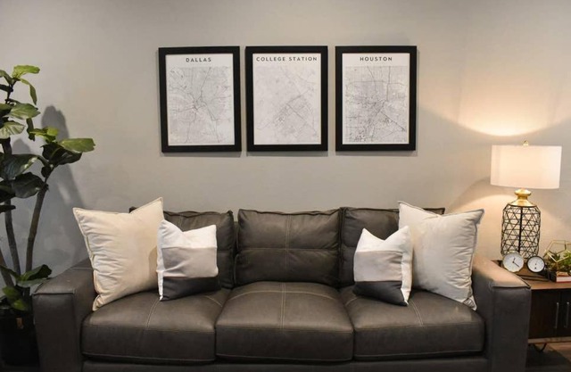 New Fully Furnished Condo in College Station #303