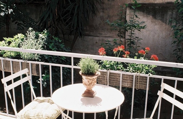 Newly Renovated Apartment in a Lush Green Neighborhood in Central Athens