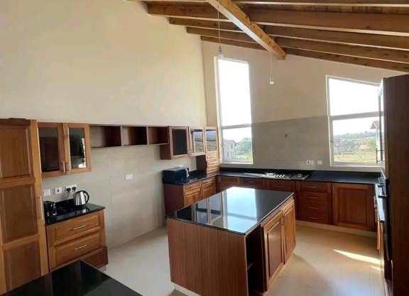 ngata apartments