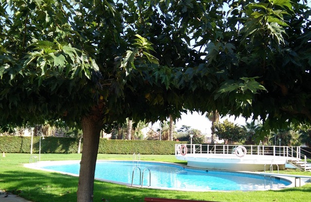 Nice and spacious apartment on the beach with pool