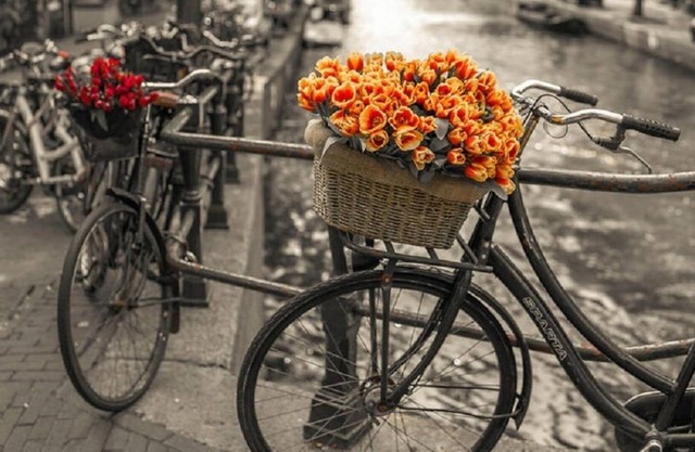 NIEUWMARKT, DAM SQR, FLOWER MARKET-THE PLACE TO BE
