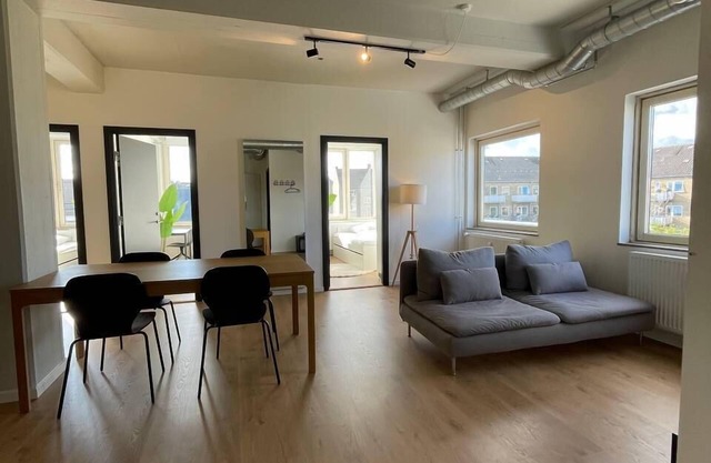 Norrebro big apt Summ