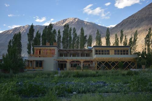 Nubra Ecolodge