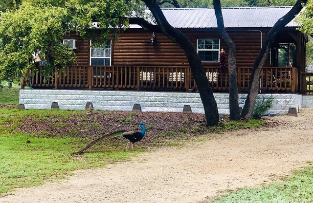 Oak Hollow Cabin at Canyon Lake