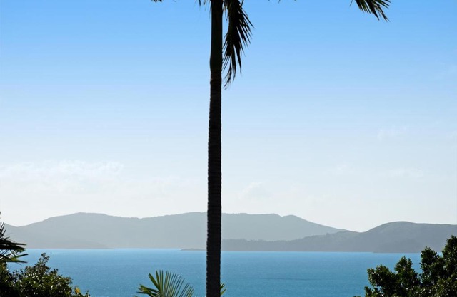 Oasis 25 Hamilton Island