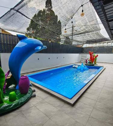 Ocean Private Pool Homestay Ipoh 海洋风情泳池民宿 14px（Wellsonhome）