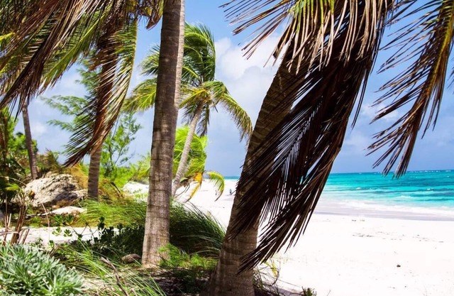 Ocean View Coral - Private Beach Resort