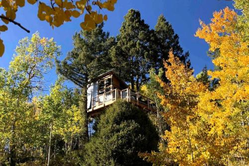Off-Grid yet Modern Tree House in the Sangre de Cristo Mountains, Colorado