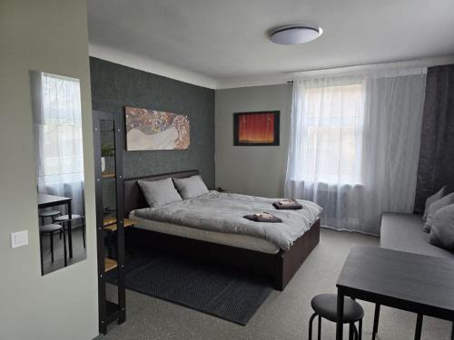 Old Riga over the river, Free parking, up to 4ppl. Self Check-inout