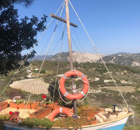 Olive Grove Cottage Guest house