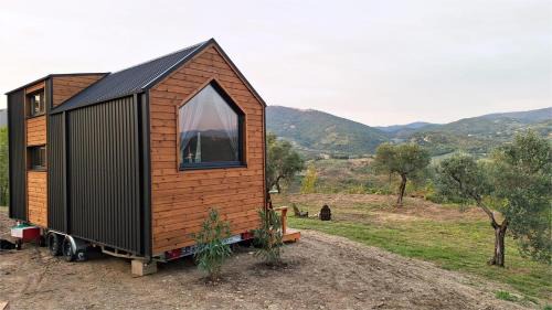 Olivo Nomade X by Tiny Away
