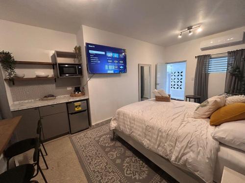 Olivos Cozy Apartment