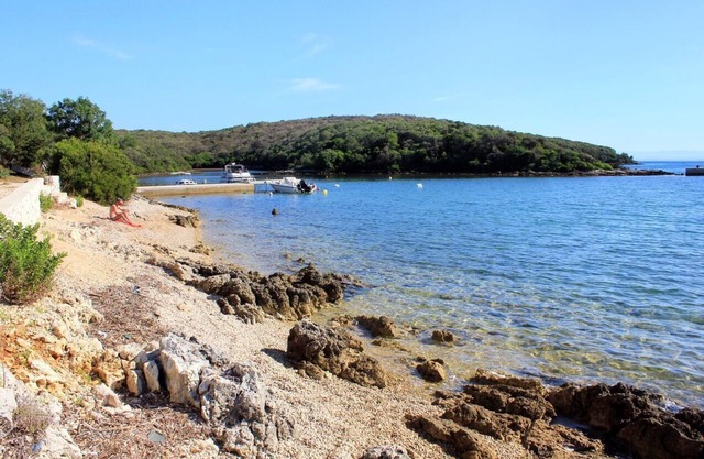 One bedroom apartment with balcony and sea view Punta križa, Cres (A-18644-a)