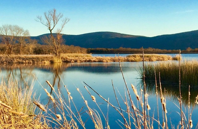 One of the Best You’ll Find! Peace & Quiet - Comfort & Charm;