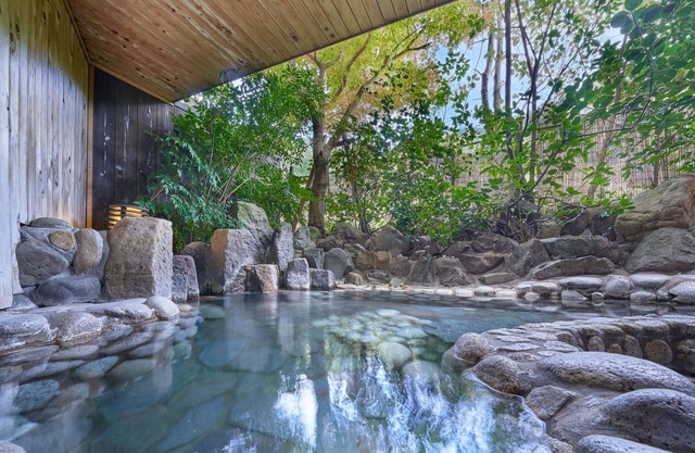 Ooedo Onsen Monogatari Terunoyu