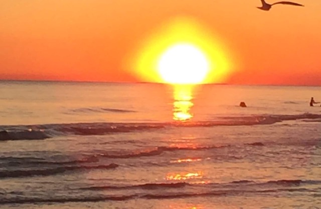.🏖️ OPEN JULY 26-31! A cancellation gives you a deal! Book it now. 😁