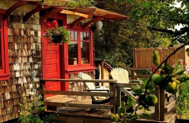 Orchard Cabin - A Cozy Cabin in a Peaceful Orchard Close to Ganges.