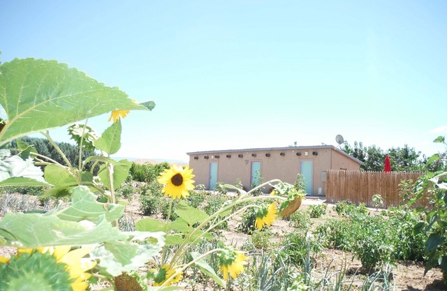 Orchard Guesthouse Cottage