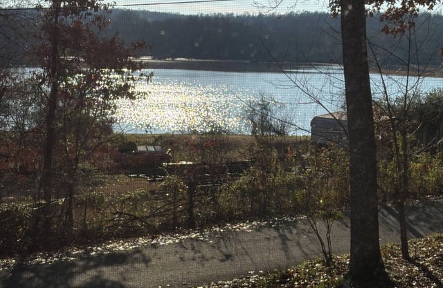 Outdoor paradise! 3 bedroom water view cabin water access near state parks.