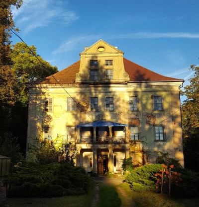 Pałac Rząsiny